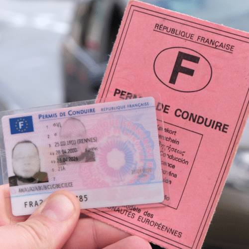 permis-dematerialise